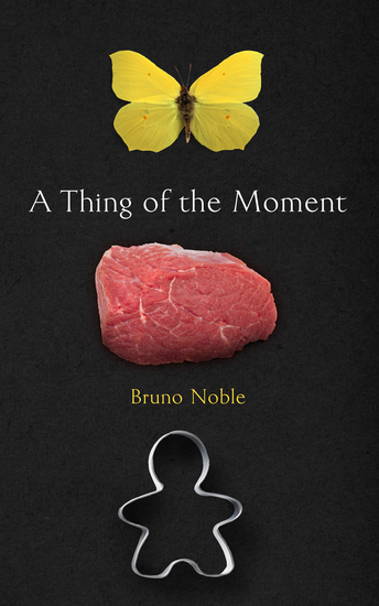 A Thing of the Moment - cover
