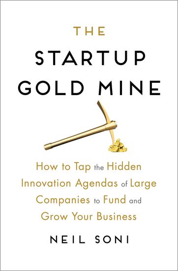 The Startup Gold Mine - How to Tap the Hidden Innovation Agendas of Large Companies to Fund and Grow Your Business - cover