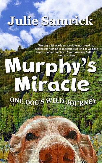 Murphy's Miracle - One Dog's Wild Journey - cover