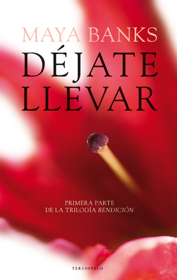 Déjate llevar - cover