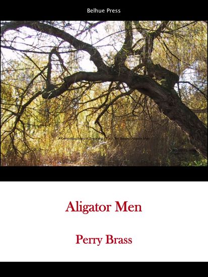 Alligator Men - An electrifying story of suspense terror and swampland eros—Deliverance meets Brokeback Mountain—from a master storyteller at the height of his art - cover