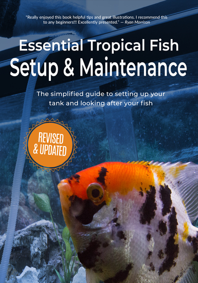 Essential Tropical Fish - Setup & Maintenance Guide - cover