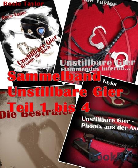 Sammelband Unstillbare Gier Teil 1 bis 4 - cover