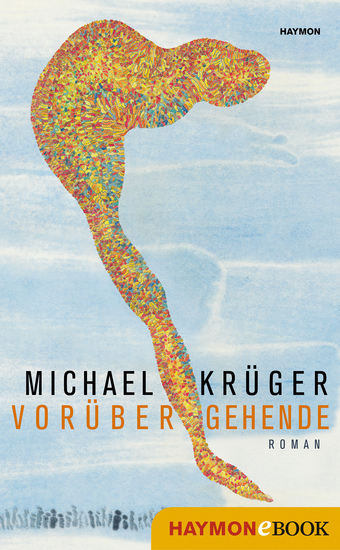 Vorübergehende - Roman - cover