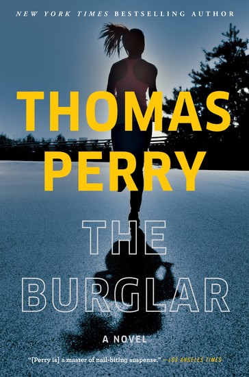 The Burglar - cover