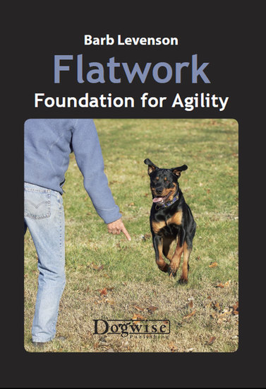 Flatwork - Foundation for Agility - cover