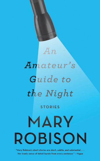 An Amateur's Guide to the Night - Stories - cover