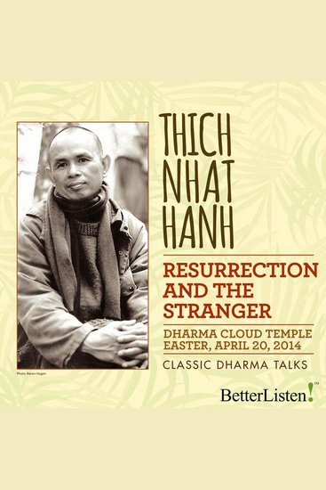 The Resurrection and The Stranger - cover