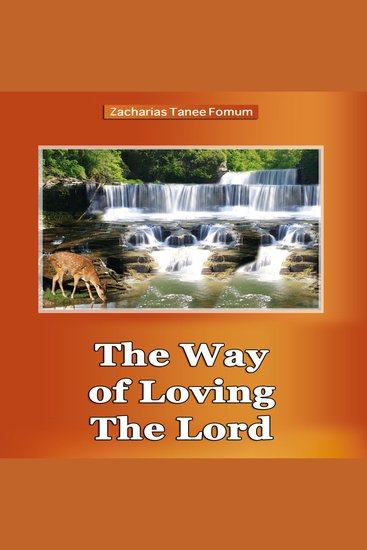 The Way of Loving The Lord - Spiritual Romance - cover