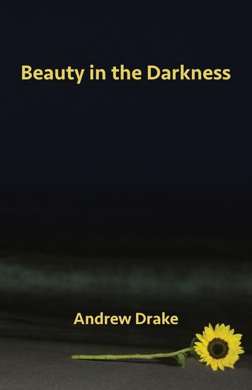 Beauty in the Darkness - cover