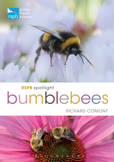 RSPB Spotlight Bumblebees - cover