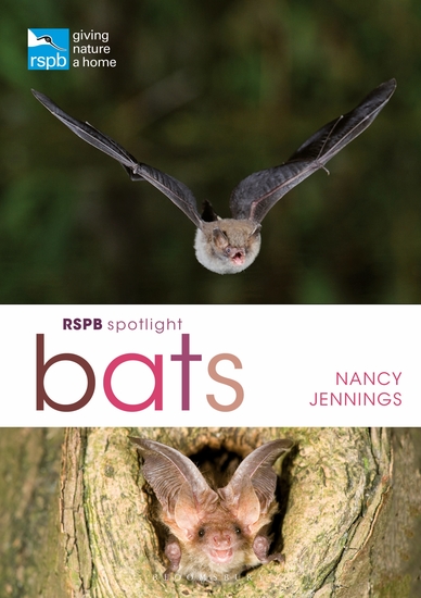 RSPB Spotlight Bats - cover