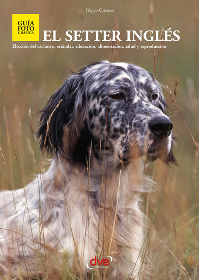 El setter ingles - cover
