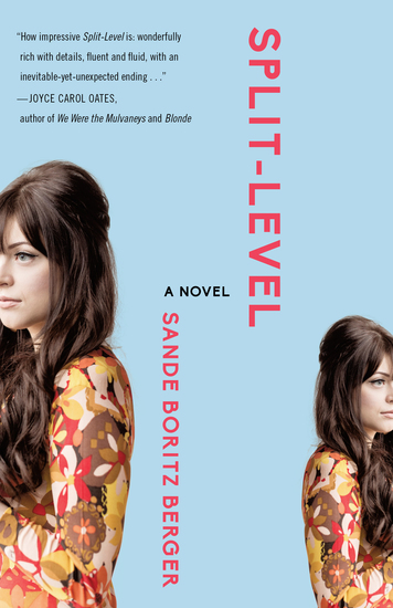 Split-Level - A Novel - cover