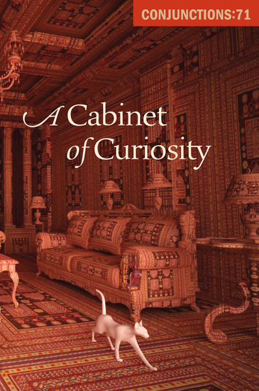 A Cabinet of Curiosity - cover