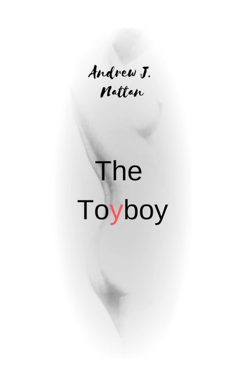 The Toyboy - cover