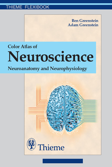 Color Atlas of Neuroscience - Neuroanatomy and Neurophysiology - cover