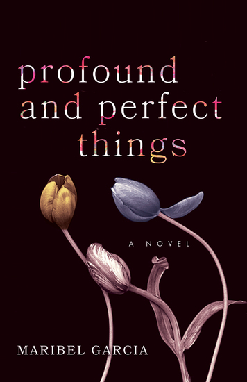 Profound and Perfect Things - A Novel - cover