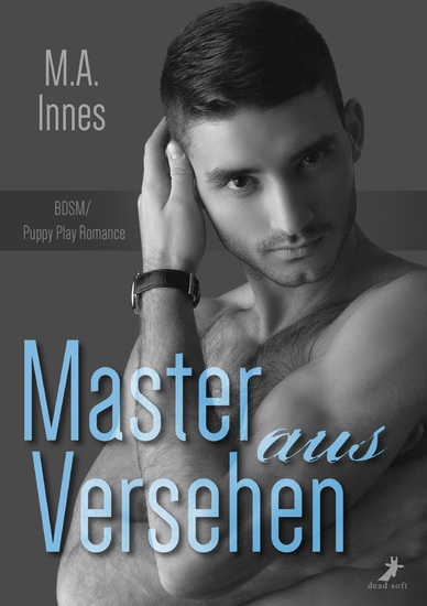 Master aus Versehen - The Accidental Master 1 - cover