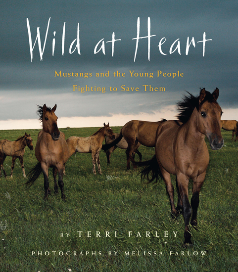 Wild at Heart - Mustangs and the Young People Fighting to Save Them - cover