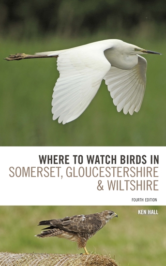 Where To Watch Birds in Somerset Gloucestershire and Wiltshire - cover