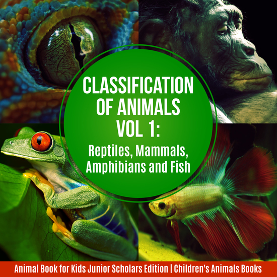 Classification of Animals Vol 1 : Reptiles Mammals Amphibians and Fish | Animal Book for Kids Junior Scholars Edition | Children's Animals Books - cover