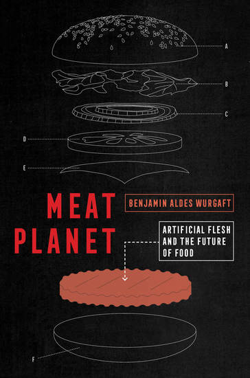 Meat Planet - Artificial Flesh and the Future of Food - cover