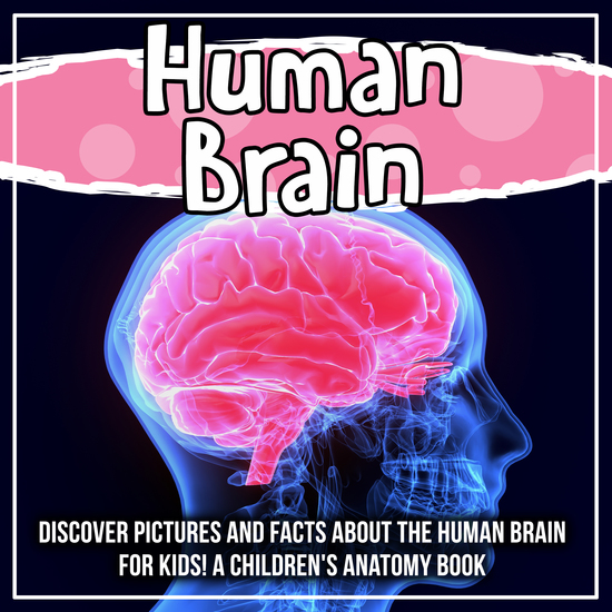 Human Brain: Discover Pictures and Facts About The Human Brain For Kids! A Children's Anatomy Book - cover