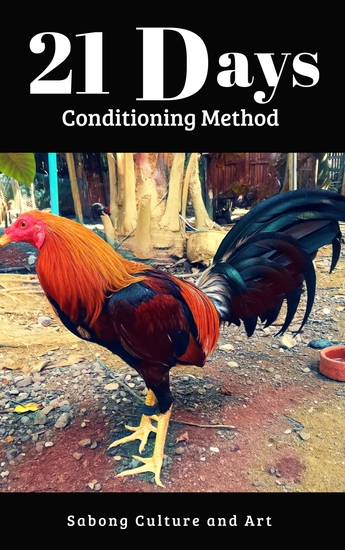 21 Days Conditioning Method - cover