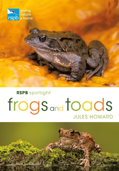 RSPB Spotlight Frogs and Toads - cover