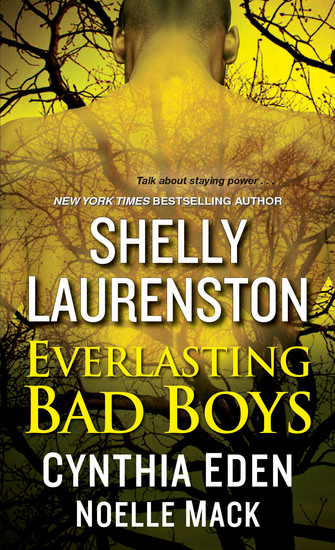 Everlasting Bad Boys - cover