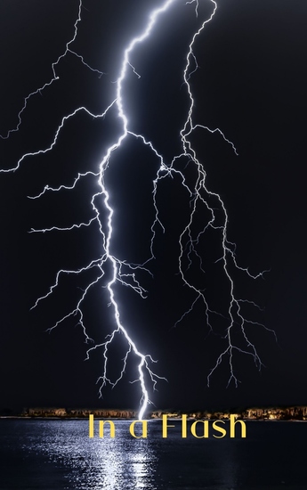 In a Flash - cover