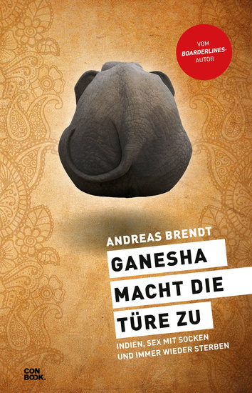 Ganesha macht die Türe zu - Indien Sex mit Socken und immer wieder sterben - cover
