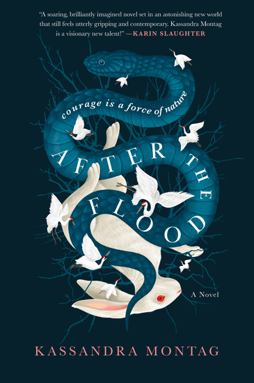 After the Flood - A Novel - cover