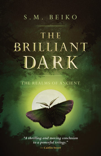 The Brilliant Dark - The Realms of Ancient Book 3 - cover