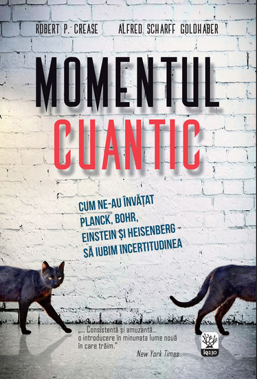 Momentul cuantic - cover