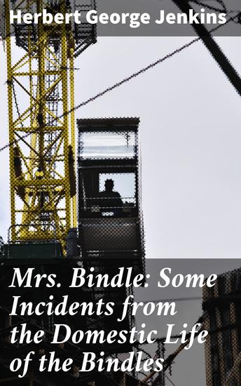 Mrs Bindle: Some Incidents from the Domestic Life of the Bindles - Comedic Vignettes of Urban Family Life in Edwardian London - cover