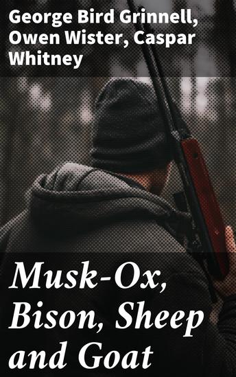 Musk-Ox Bison Sheep and Goat - cover