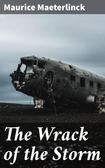 The Wrack of the Storm - cover