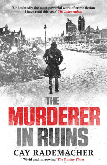 The Murderer in Ruins - cover
