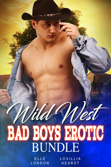 Wild West Bad Boys Erotic Bundle - cover
