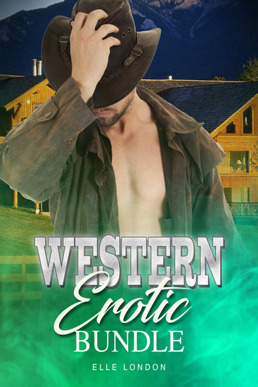 Western Erotic Bundle - cover