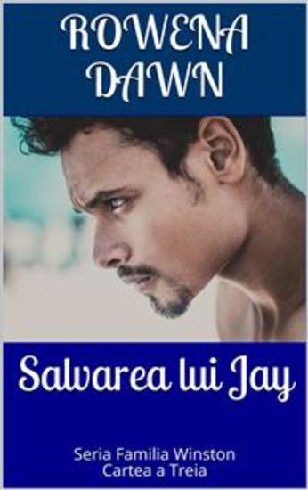 Salvarea lui Jay - Cartea a Treia în Seria Familia Winston - cover