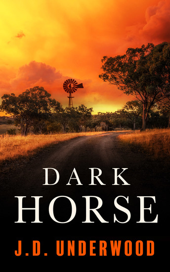 Dark Horse - A powerful and delightful small town story about love loss and redemption - cover