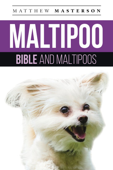 Maltipoo Bible And Maltipoos - Your Perfect Maltipoo Guide Maltipoo Maltipoos Maltipoo Puppies Maltipoo Dogs Maltipoo Breeders Maltipoo Care Maltipoo Training Health Behavior Grooming Breeding History and More! - cover