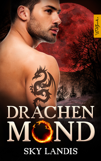 Drachenmond: Roman - cover