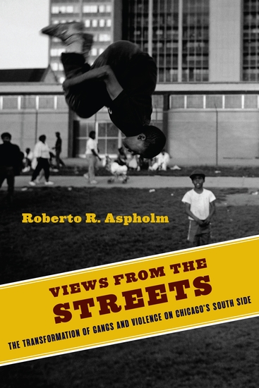 Views from the Streets - The Transformation of Gangs and Violence on Chicago's South Side - cover