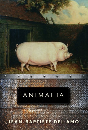 Animalia - A Novel - cover
