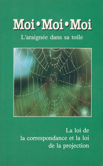 Moi moi moi L'araignée dans sa toile - La loi de la correspondance et la loi de la projection - cover