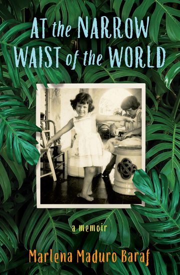 At the Narrow Waist of the World - A Memoir - cover
